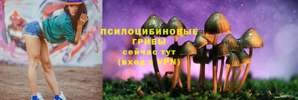 первитин Лагань