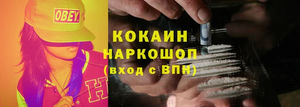 ПСИЛОЦИБИНОВЫЕ ГРИБЫ Ладушкин