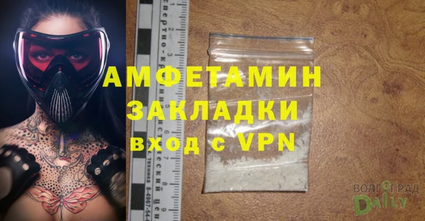 ПСИЛОЦИБИНОВЫЕ ГРИБЫ Ладушкин