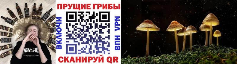 где можно купить наркотик  Липецк  гидра   Галлюциногенные грибы мицелий 